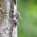 嘉亿娱乐带你领略多元化的娱乐世界 36ji99e1qp