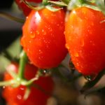 启航娱乐注册:注册即享多重优惠,畅玩无限乐趣 4x14wfv0v