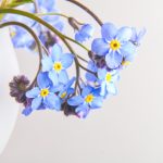 名仕汇娱乐带你体验奢华生活的独特魅力 55ogv2d1t