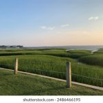 唐人街娱乐平台的魅力:让你体验异国风情的乐趣 66vkbea0