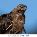 四海娱乐的魅力:让你畅游世界的精彩瞬间 excl8u