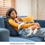 在a8娱乐城畅玩:体验顶级服务与丰富活动 oh3kx