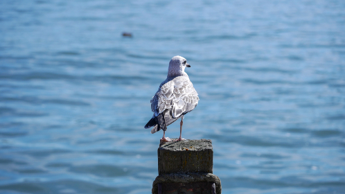 17167期足彩开奖结果揭晓，最新中奖号码公布