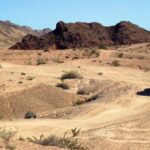 17194期开奖结果震撼揭晓,幸运号码花落谁家? 1sddc6t