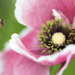 3d184期最新开奖结果查询与详细数据分析 1yeb72