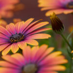 3d190期开奖号码公布及中奖详情全面揭晓 2xlfa