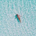 17直播:揭秘当下最火爆的直播平台新风向 48byz