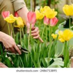 17333期体育彩票开奖结果最新公布 5aw1tk