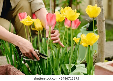 17333期体育彩票开奖结果最新公布