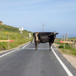 17176期足彩开奖结果揭晓:最新中奖号码公布 7z88z8