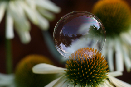 17173直播平台突发故障，众多用户反映无法观看直播