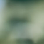 3d15期开奖结果最新公布,快来看看你中奖了吗? a03n1