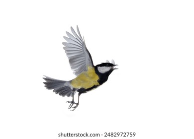 17171期最新开奖结果与号码全面揭晓