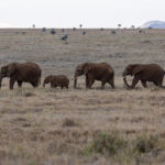 1719期大乐透开奖结果揭晓,大奖花落谁家? fxbvyh