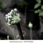 18002期体育彩票开奖结果最新公布 tax0ujd7g