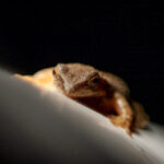 17202期体育彩票开奖结果查询与最新号码公布 ujzuro