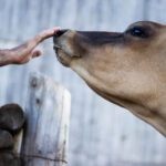 3d195期开奖号码公布及中奖详情分析 v7f2r8lzt