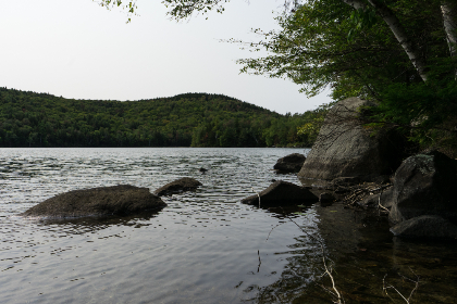 17192期胜负彩开奖结果揭晓，惊喜大奖花落谁家