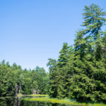 3d137期最新开奖结果查询与详细数据分析 zobn1jd7q