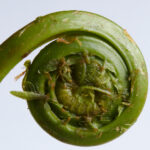 17直播吧:精彩赛事与热门主播全天候在线 zsr43s8